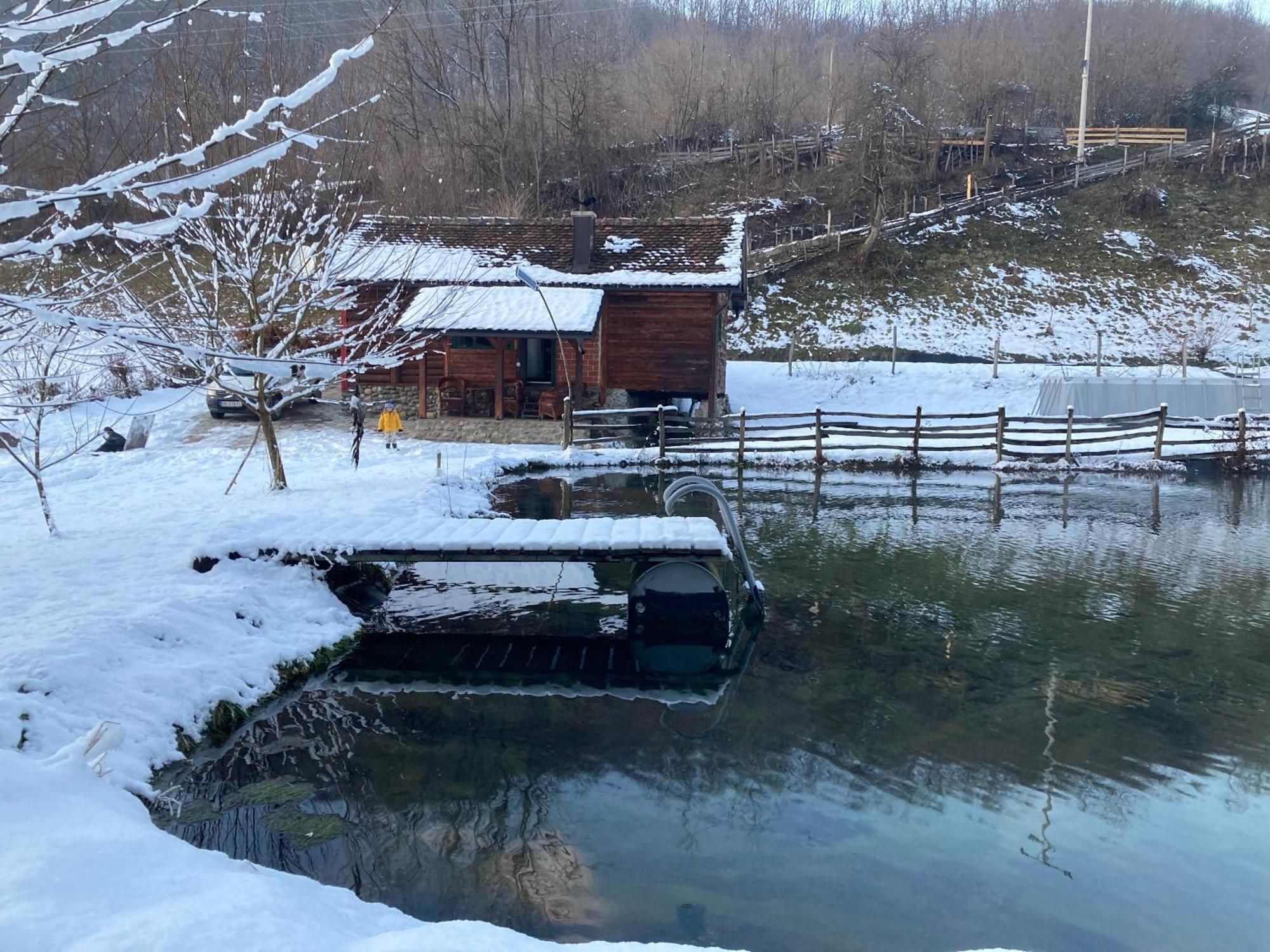 Villa Vajat Tuk Bajina Basta Esterno foto